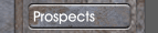 Prospects